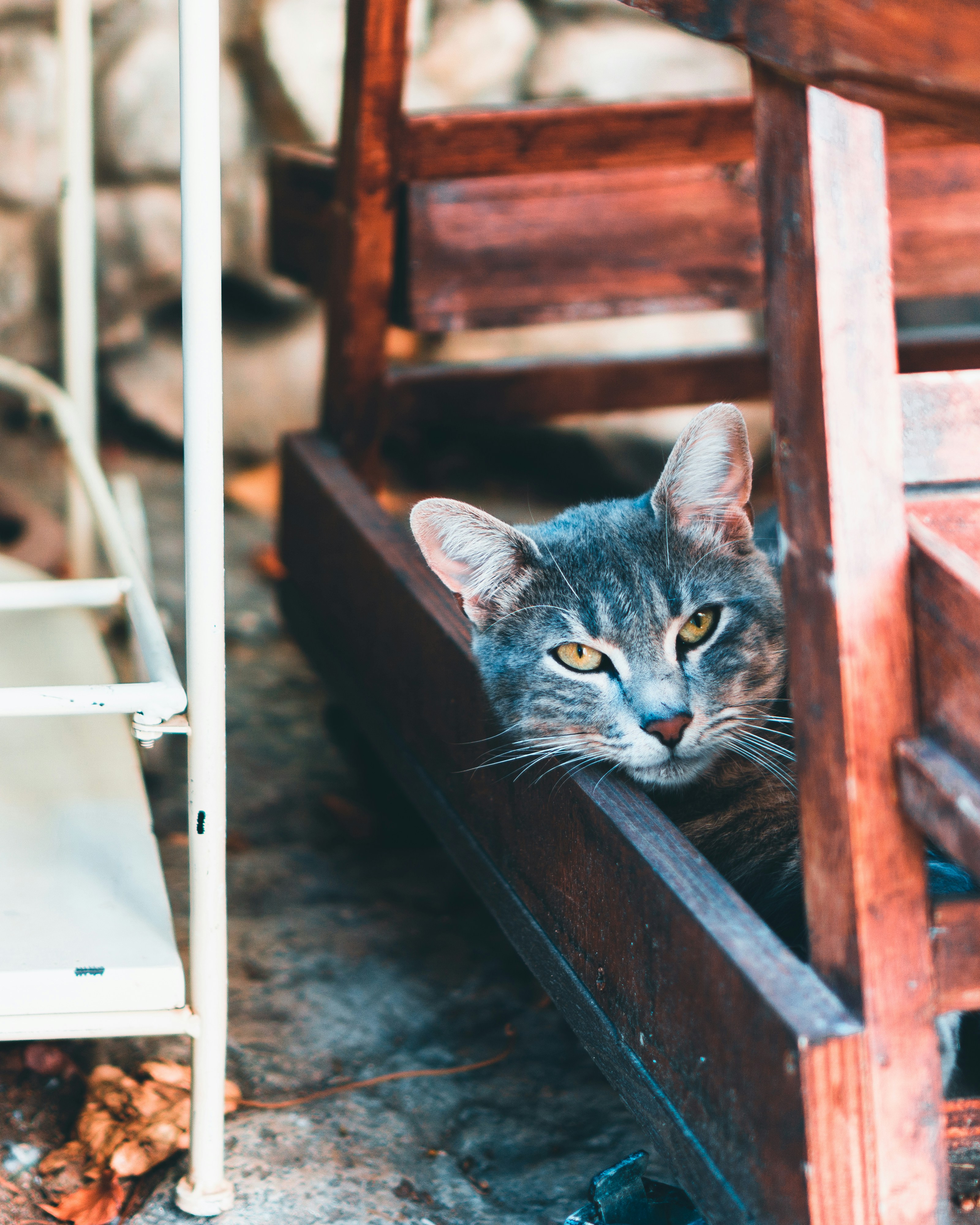 Photo by the_desolation_prince