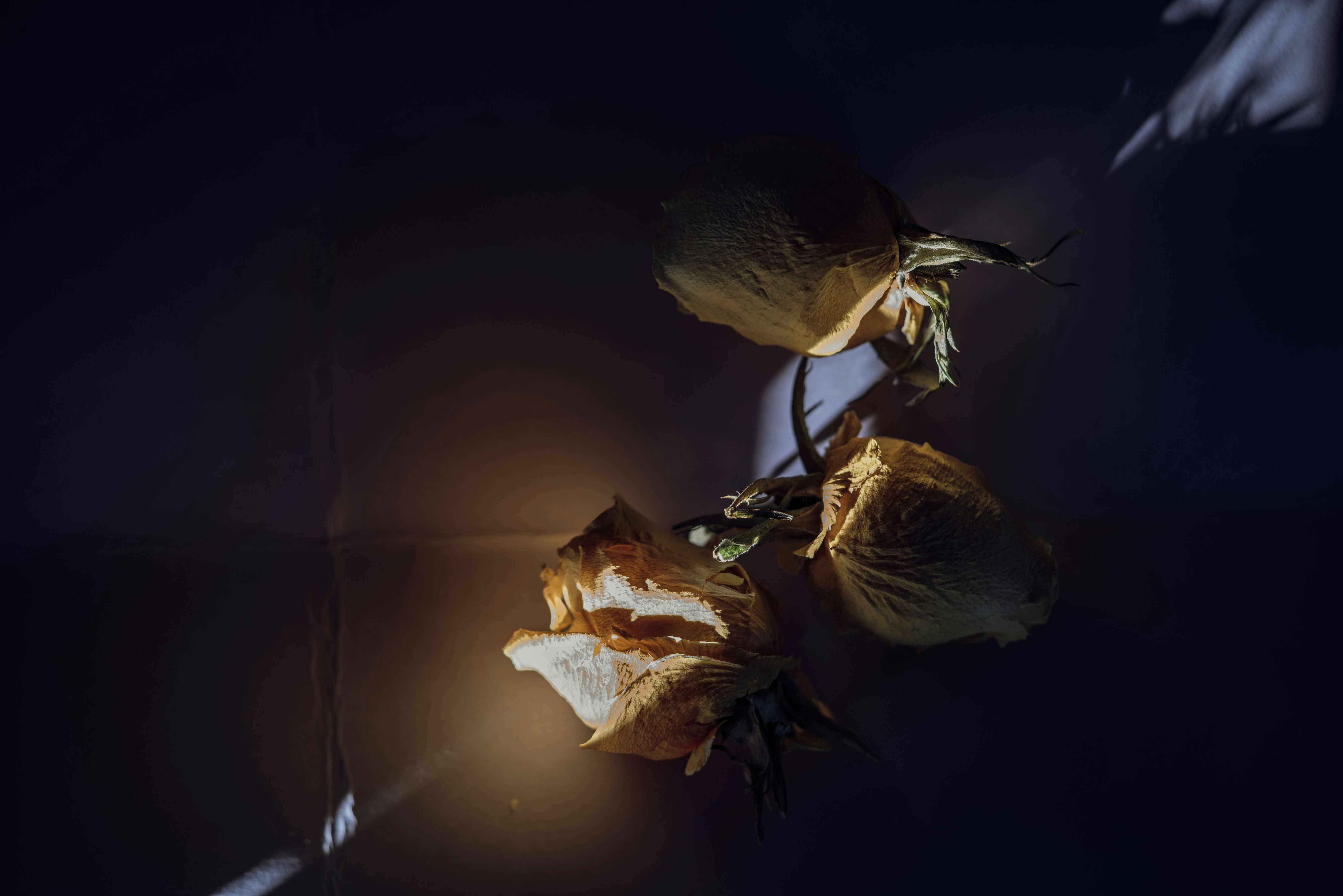 Photo by mihaiteslariu0