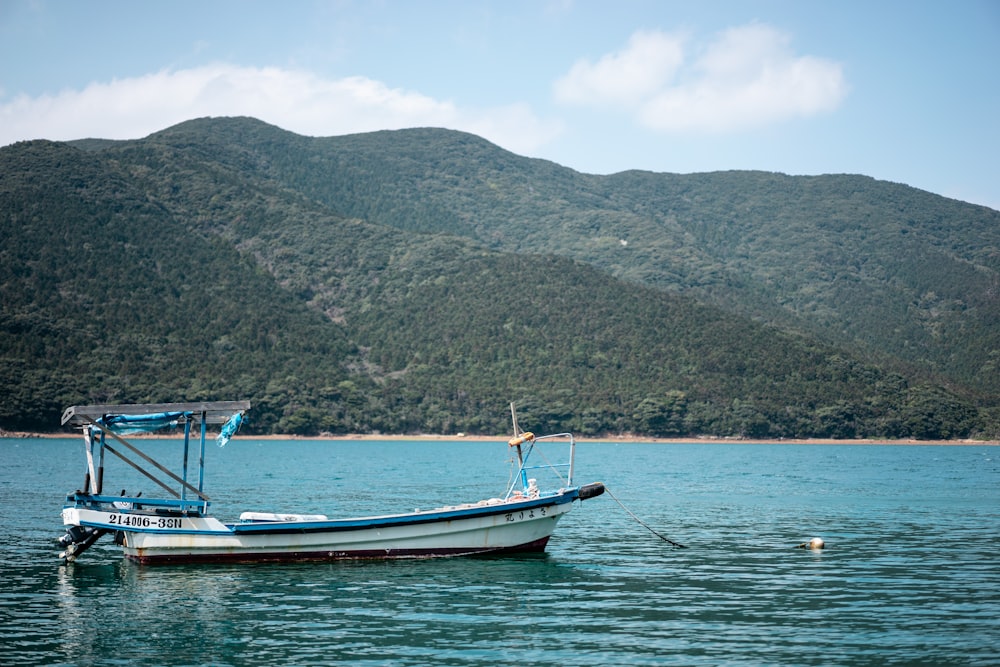 Barca bianca e blu sul mare vicino alla montagna durante il giorno