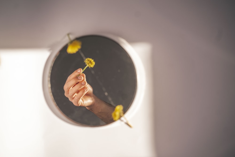 person holding white ceramic plate with black powder