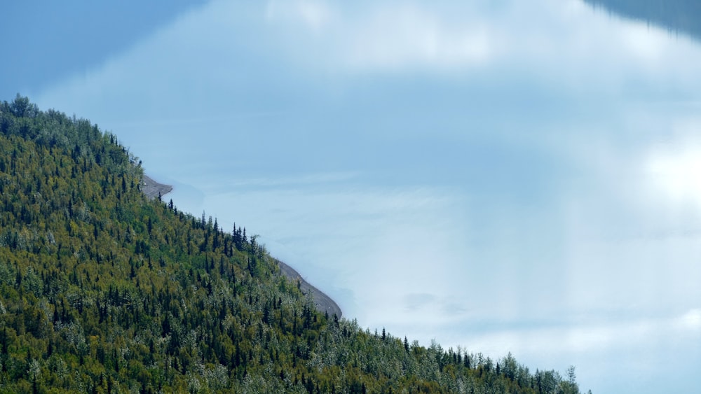 Grünes Gras bedeckter Berg unter weißem Himmel während des Tages