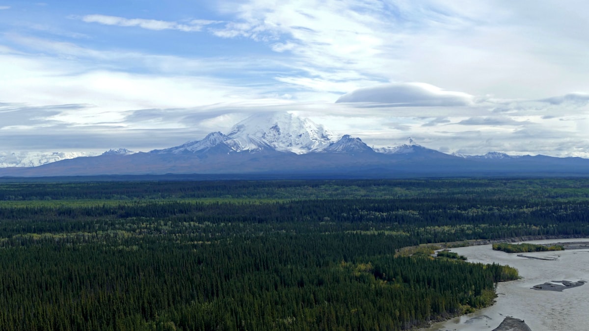 Fly fishing in Japan