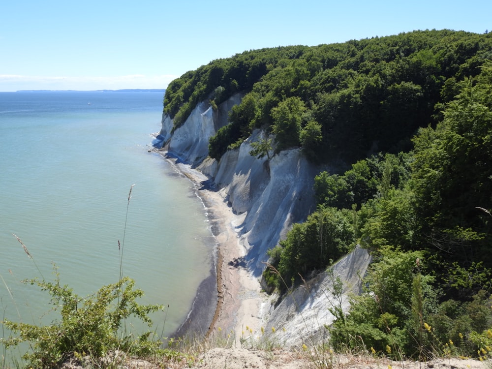 green trees on mountain beside sea during daytime