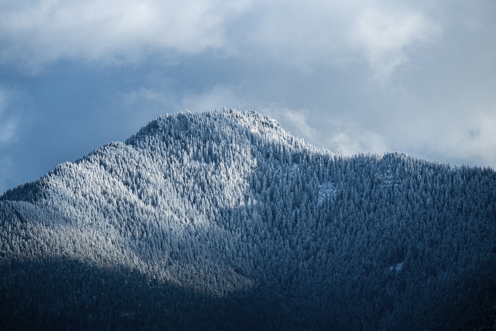 green trees on mountain under cloudy sky during daytime