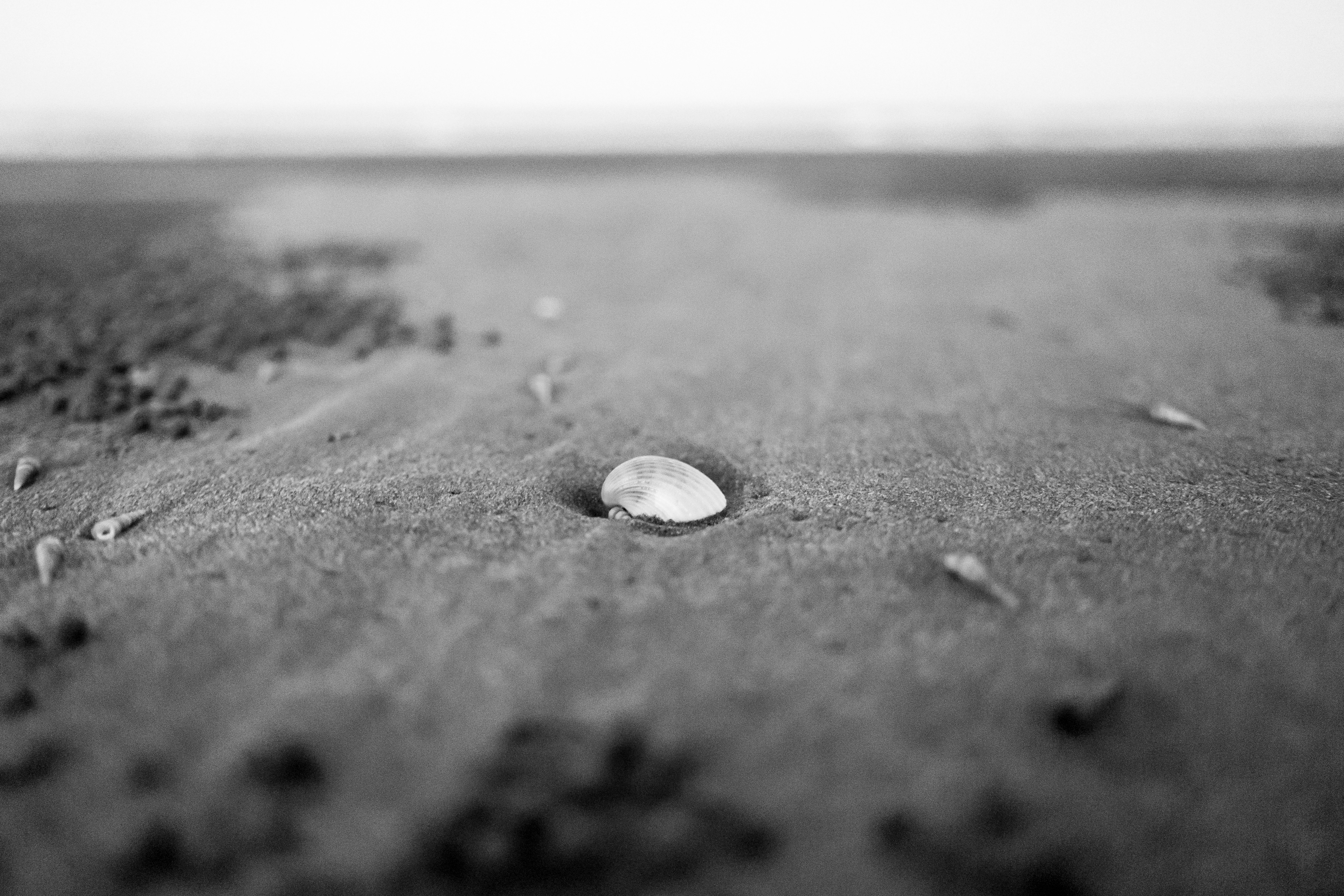 நண்பன் நான் என்றால் - Tamil Poem (தமிழ் கவிதை) by அ.ஸ்விண்டன்