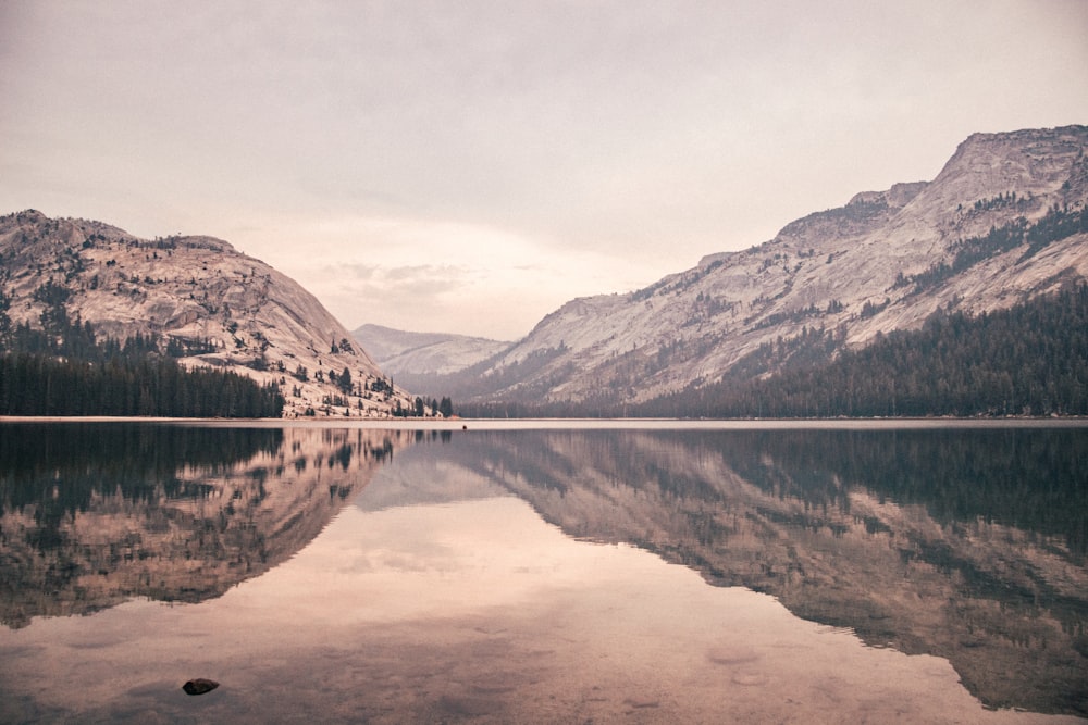 brown wooden dock on lake near mountain during daytime