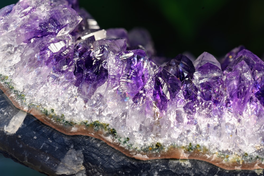 purple and white flower petals