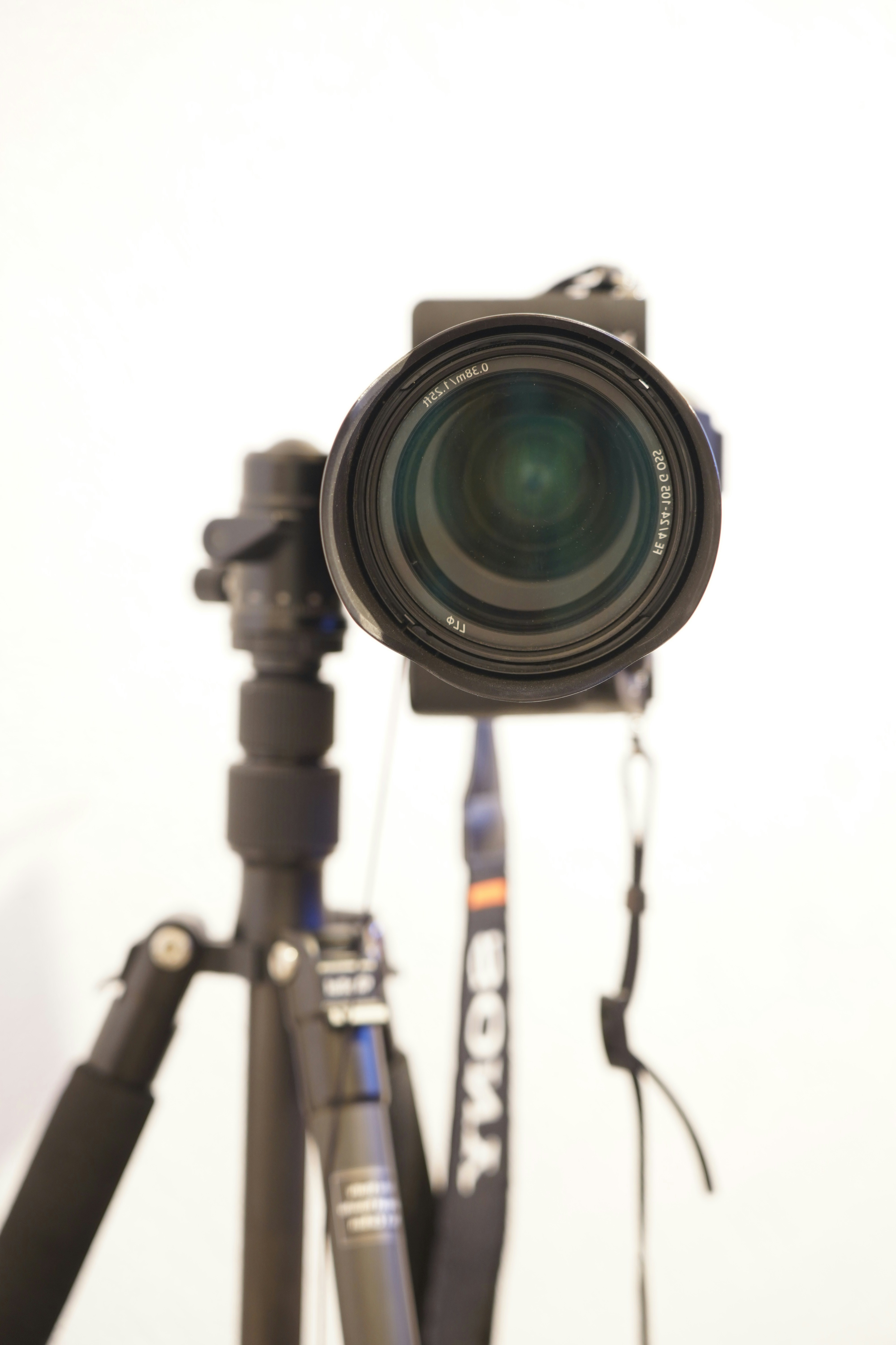 Photo by sardinien_blog