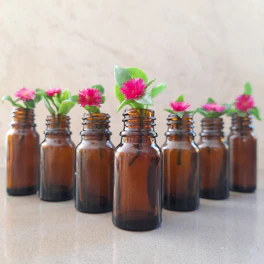 Artistic arrangement of Bach flower bottles with fresh flowers and soft pastel background.