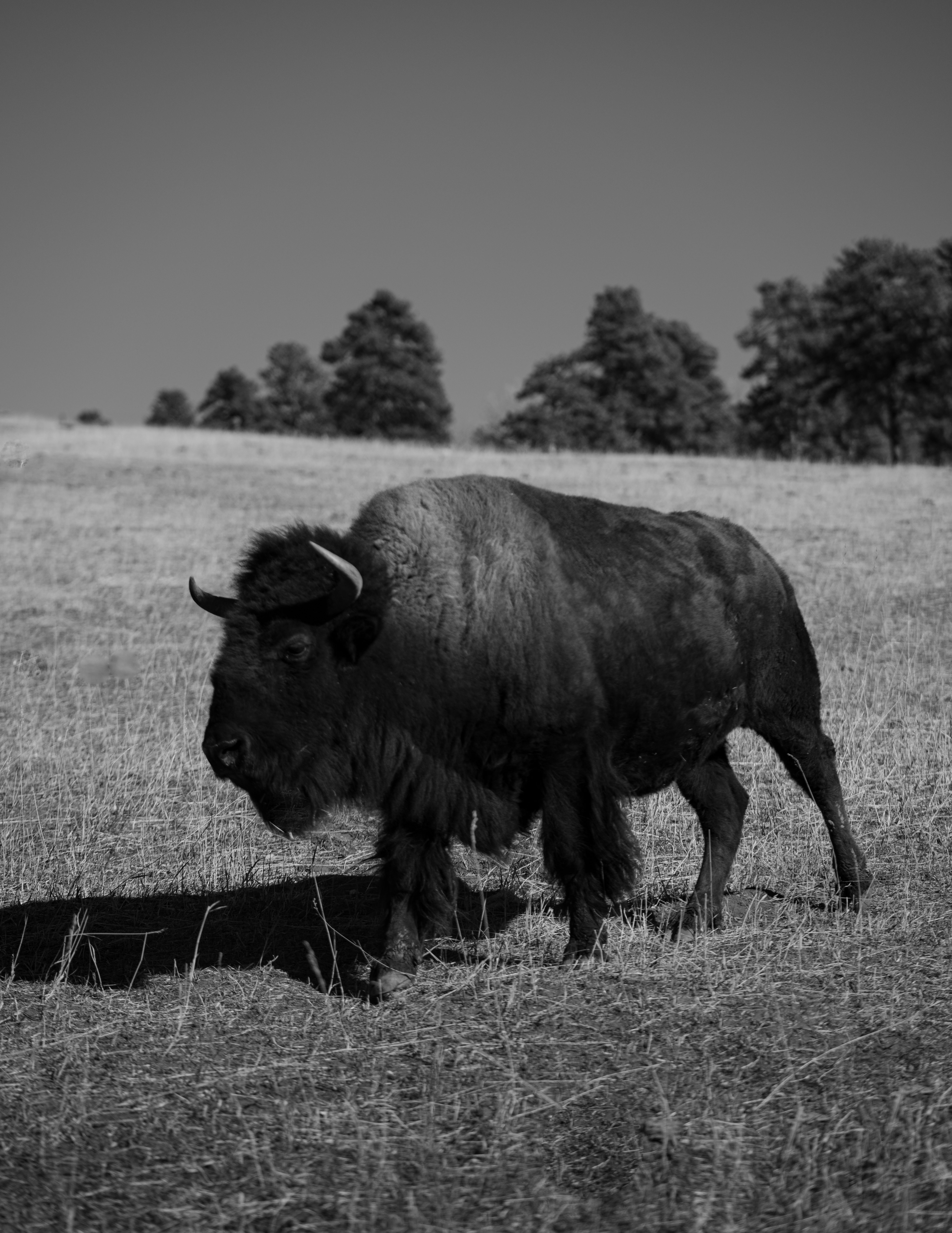 Photo by grahammansfield1