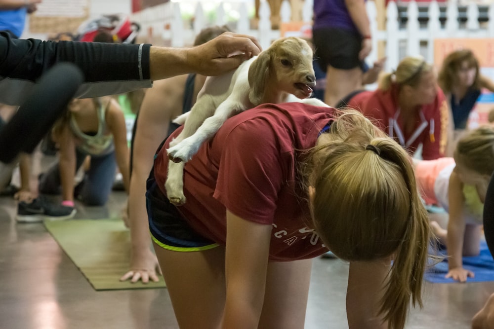 woman in red t-shirt and black shorts holding brown short coated dog