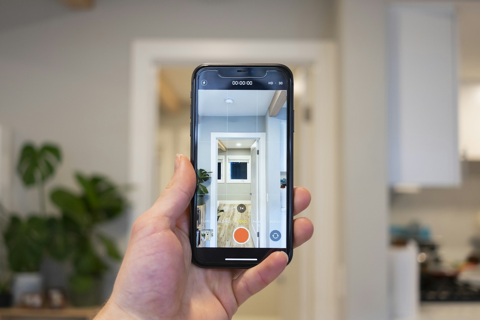 How A Realtor Will Help You Find Your Home