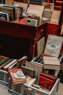 libri in una libreria francese