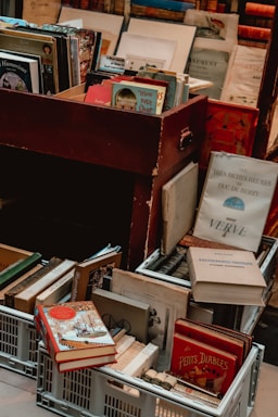 libri in una libreria francese