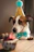 A happy dog wearing a party hat next to a Fiesta Peluda customized piñata.
