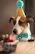 A happy dog wearing a party hat next to a Fiesta Peluda customized piñata.