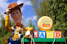 boy in blue and yellow button up shirt with brown hat