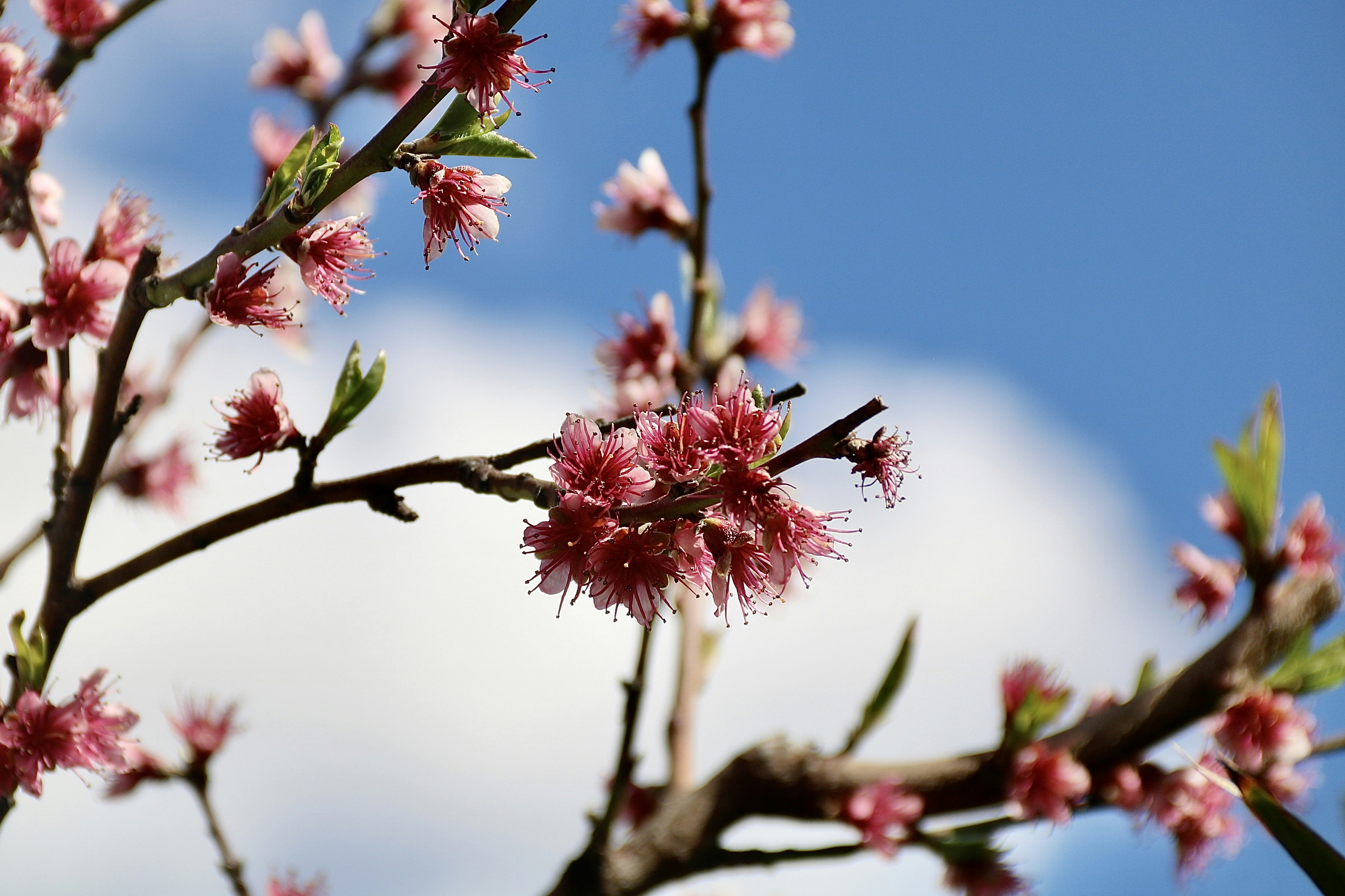 Photo by jorgefdezsalas