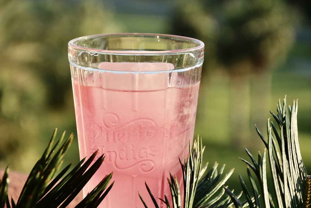 klares Trinkglas mit rosa Flüssigkeit