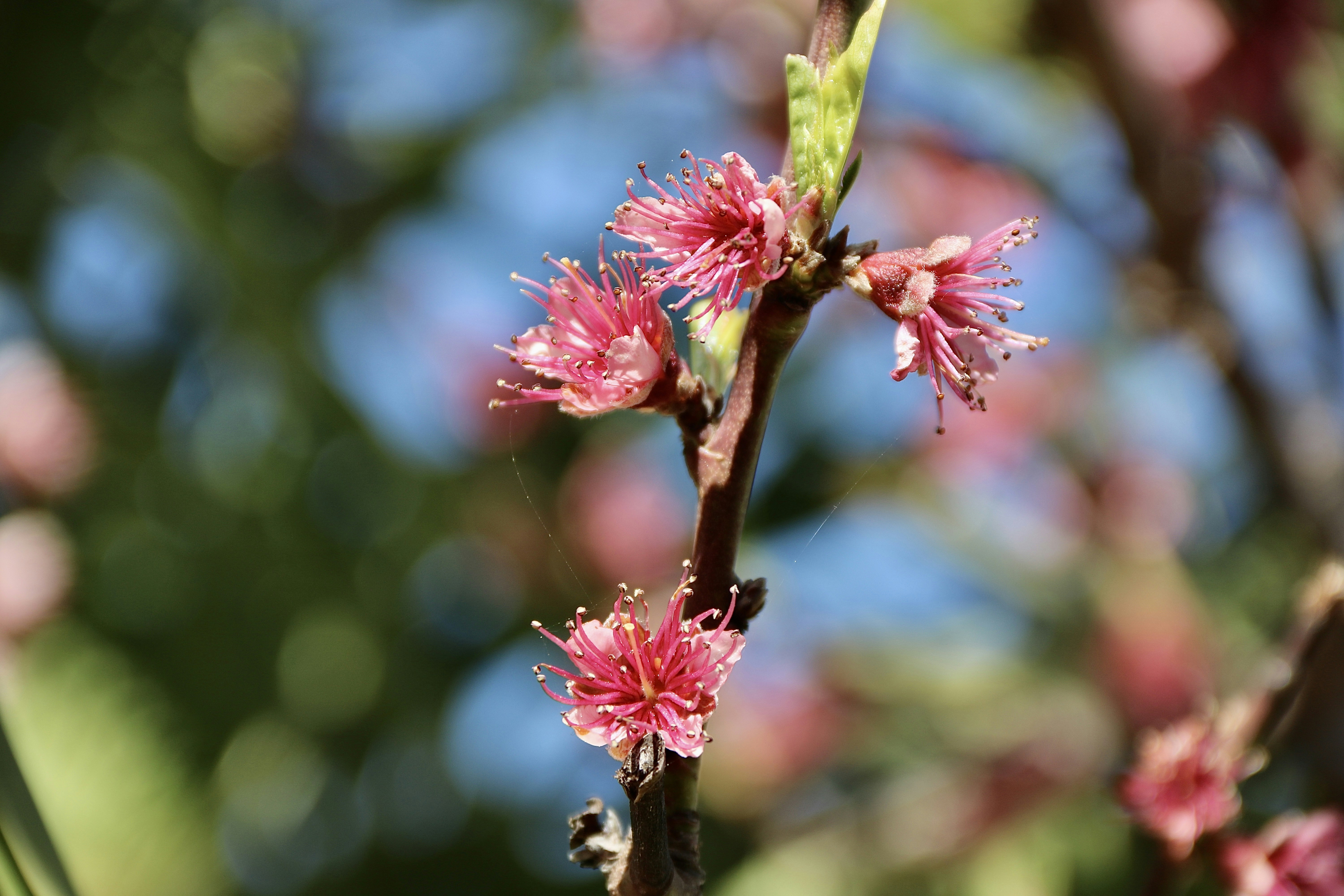 Photo by jorgefdezsalas