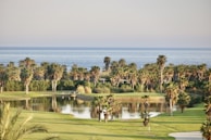 A scenic landscape featuring a lush golf course with neatly trimmed grass and several palm trees. A small reflective pond is surrounded by greenery. In the background, the calm blue ocean stretches across the horizon under a clear sky.