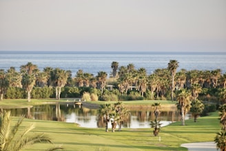 A scenic landscape featuring a lush golf course with neatly trimmed grass and several palm trees. A small reflective pond is surrounded by greenery. In the background, the calm blue ocean stretches across the horizon under a clear sky.