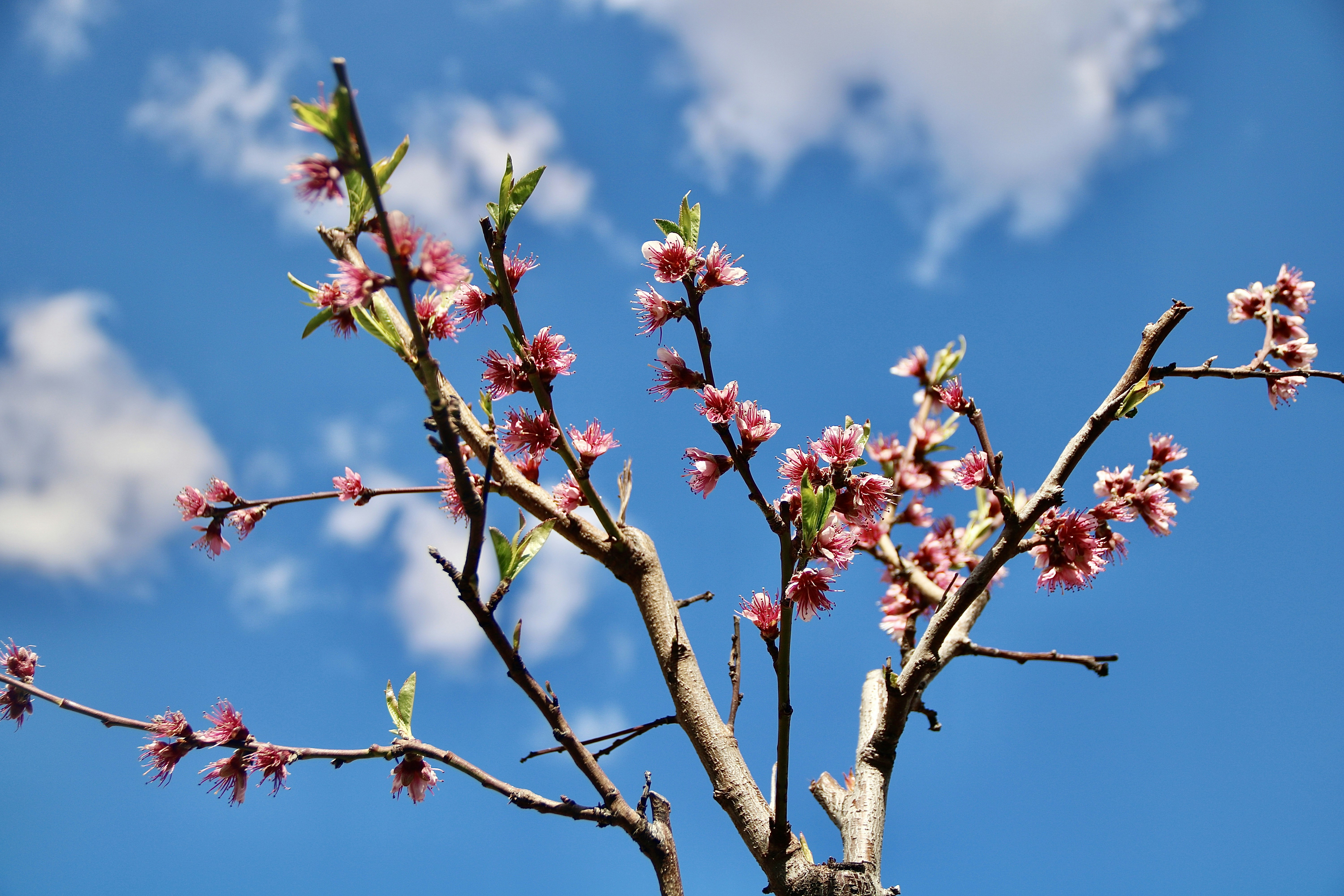 Photo by jorgefdezsalas