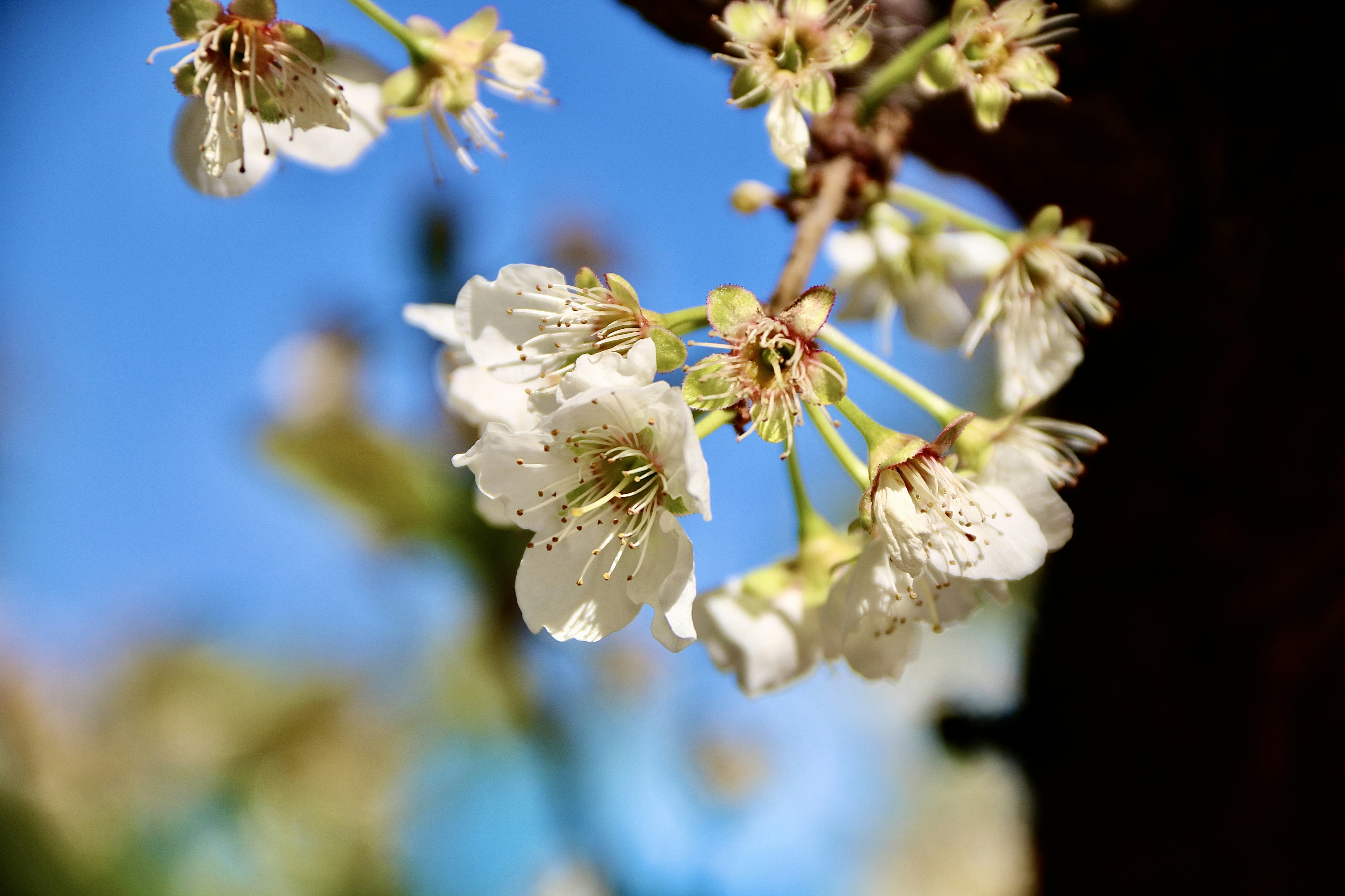Photo by jorgefdezsalas