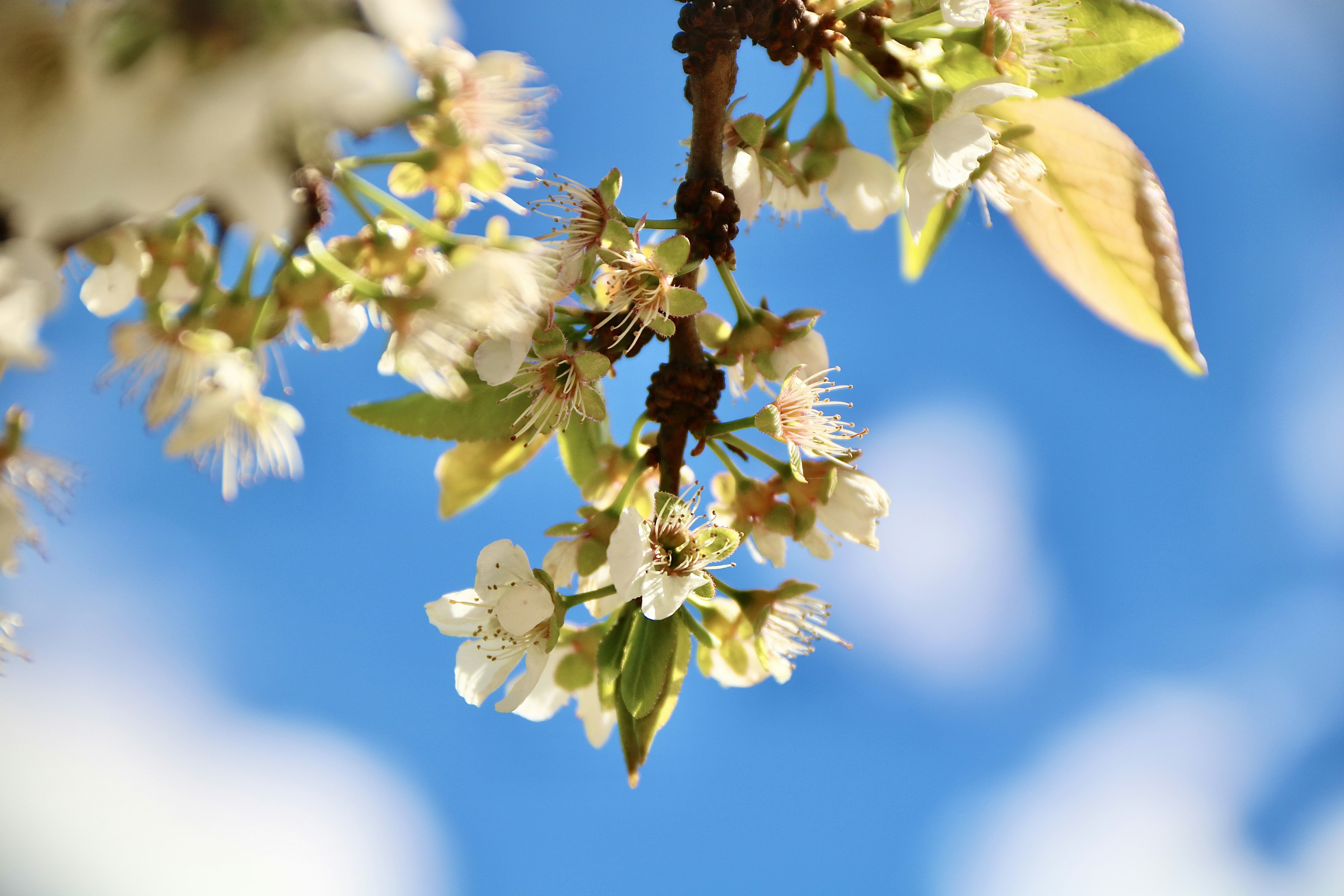 Photo by jorgefdezsalas