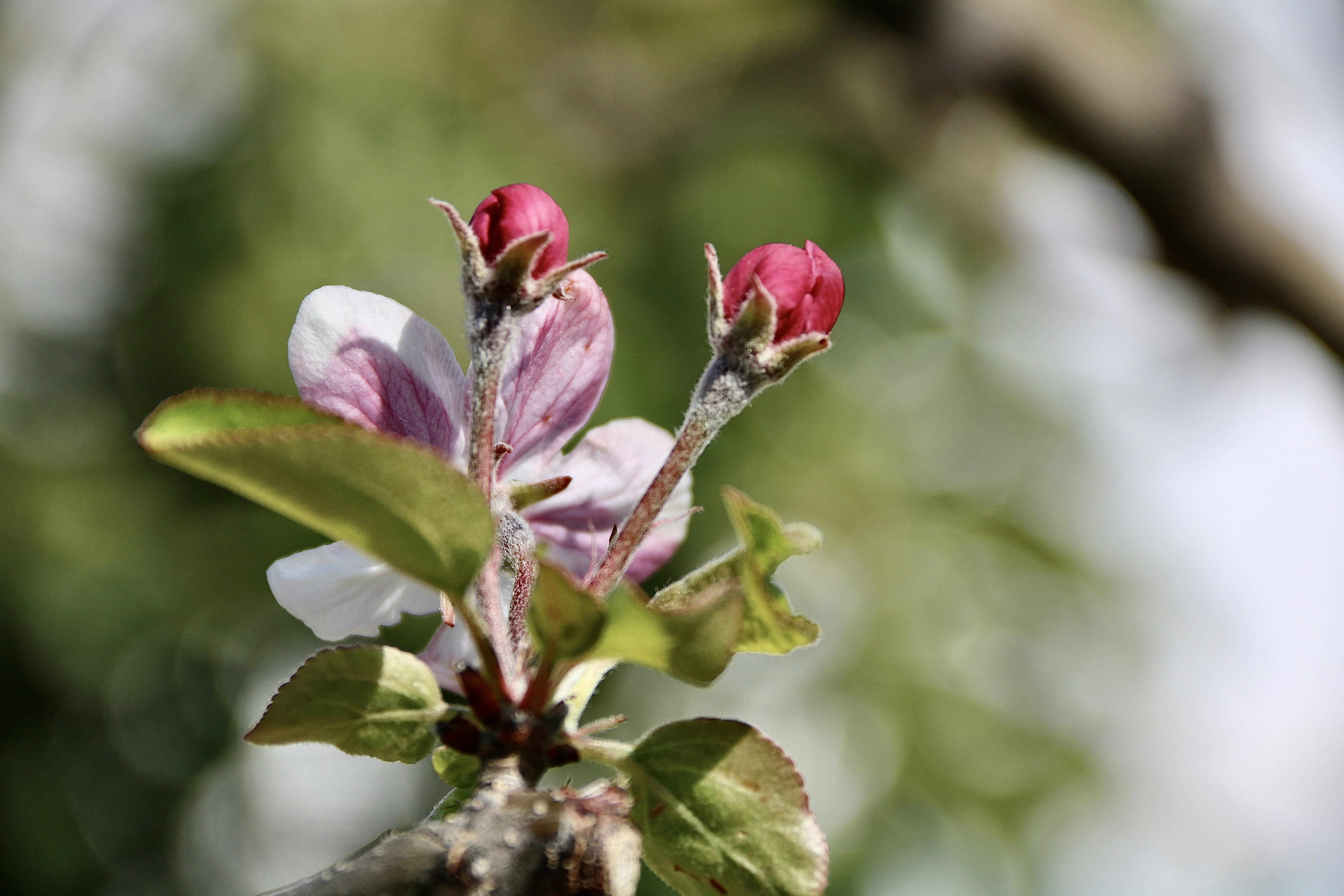 Photo by jorgefdezsalas