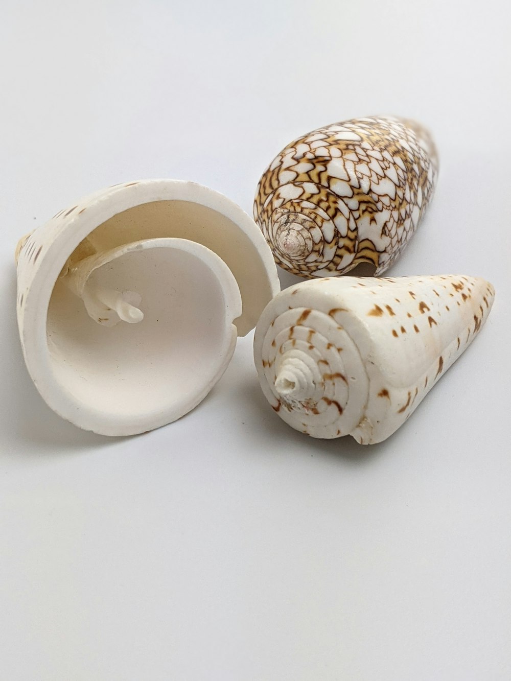 white and brown ceramic bowl