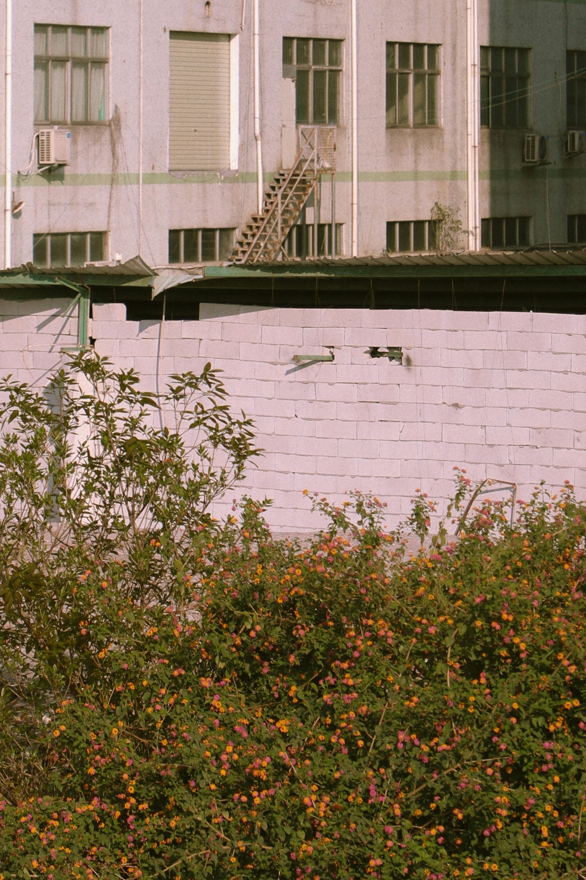 Photo by serene_jiang