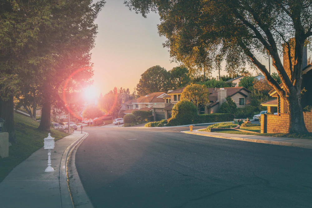 Sunlight through trees on a residential street