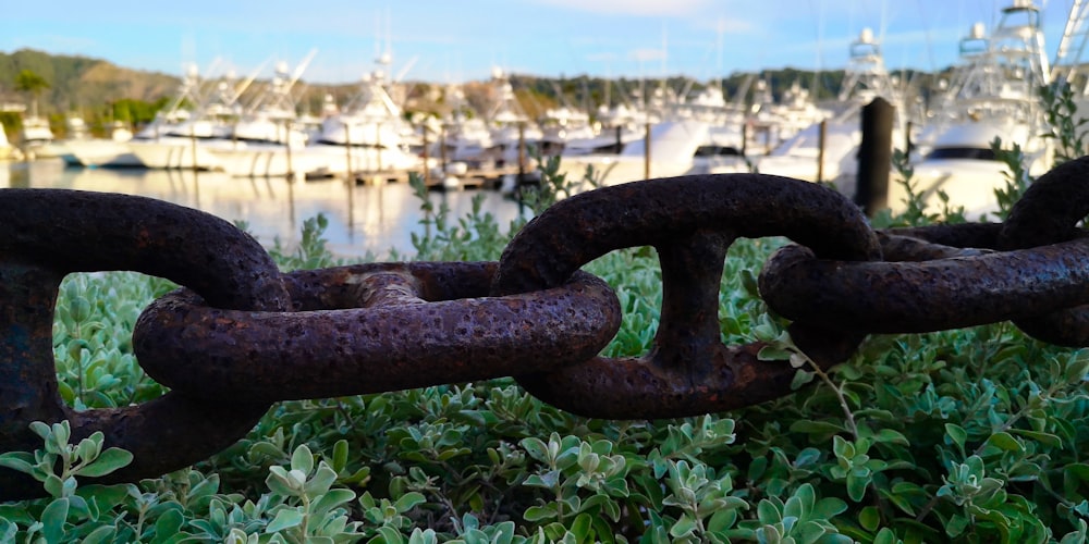 black metal chain near body of water during daytime