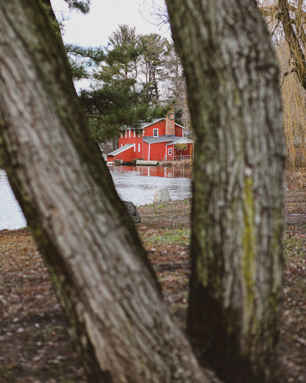 red and white house near tree