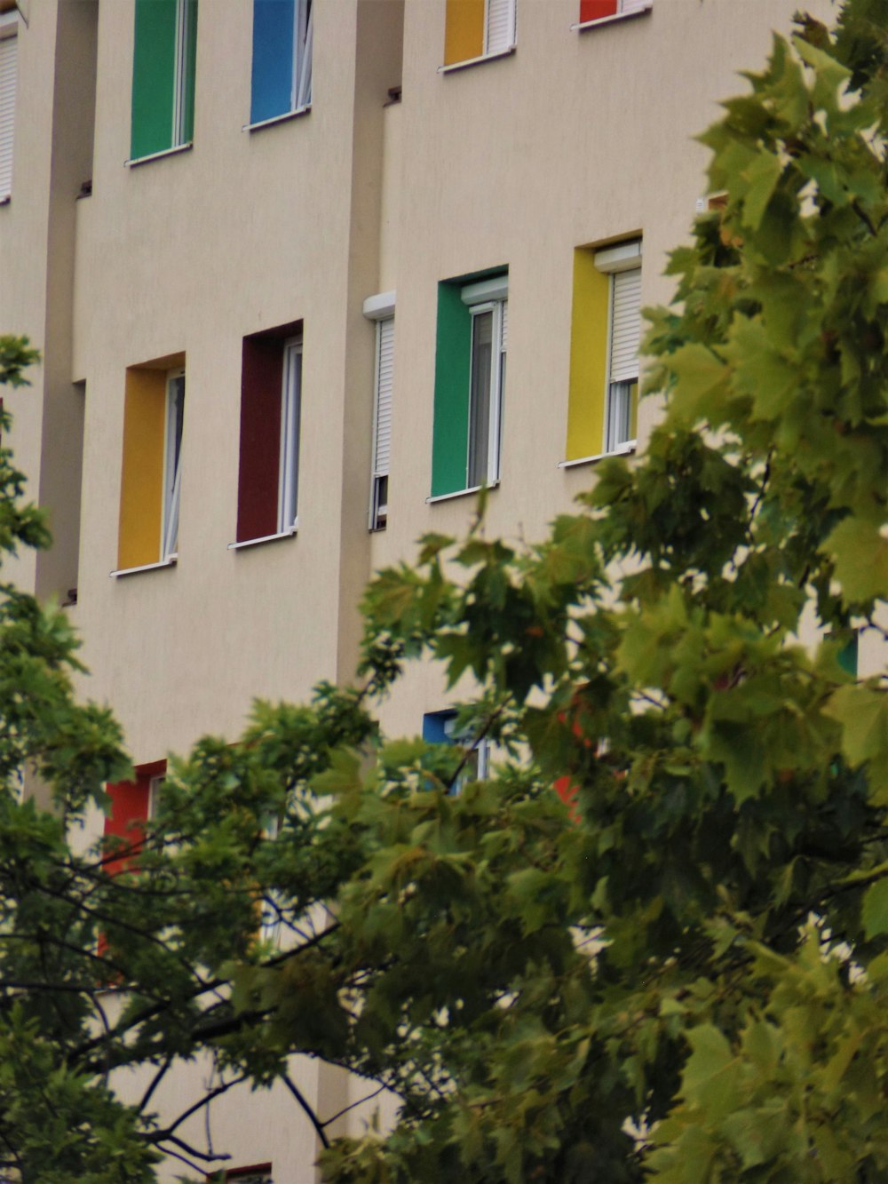 green tree beside white concrete building