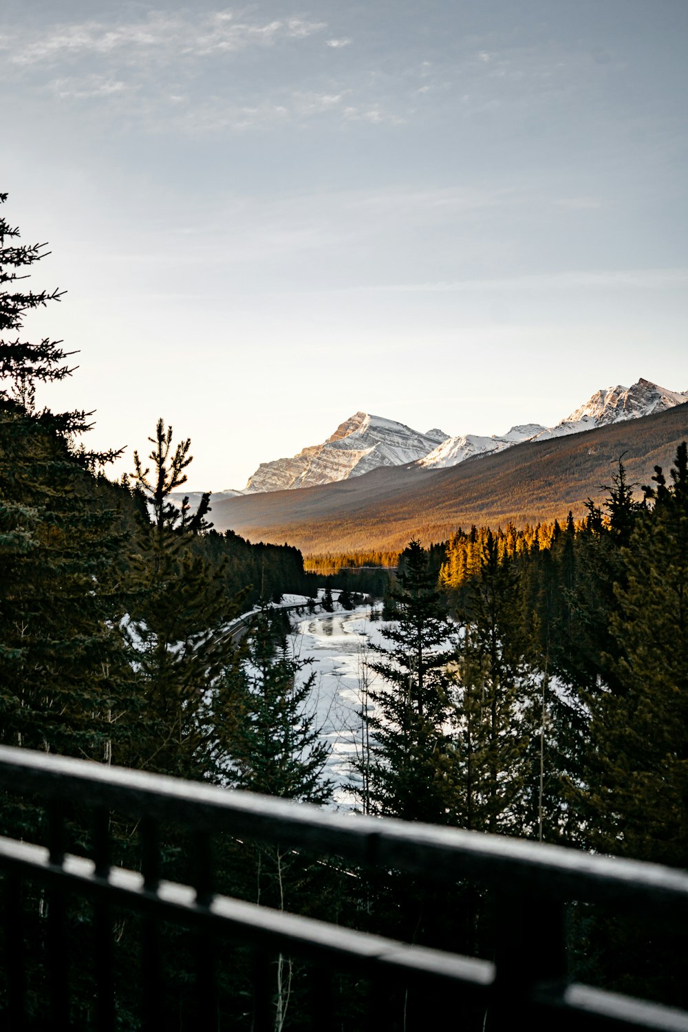 green pine trees near mountain during daytime