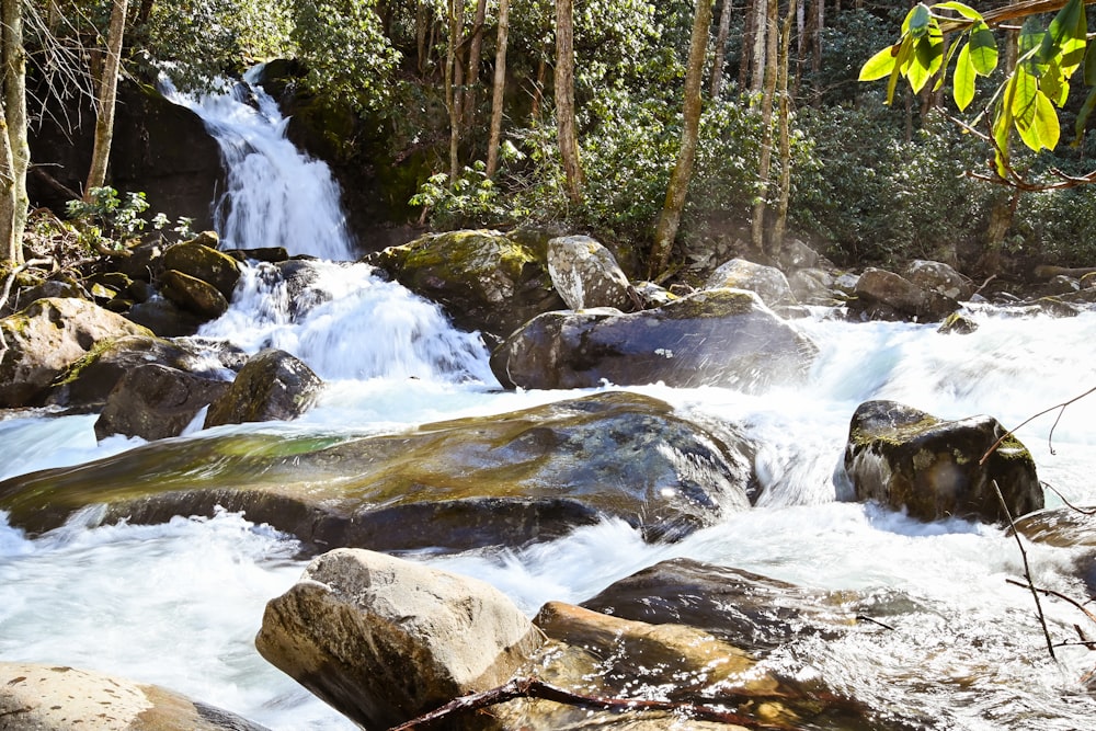 water falls in the middle of forest