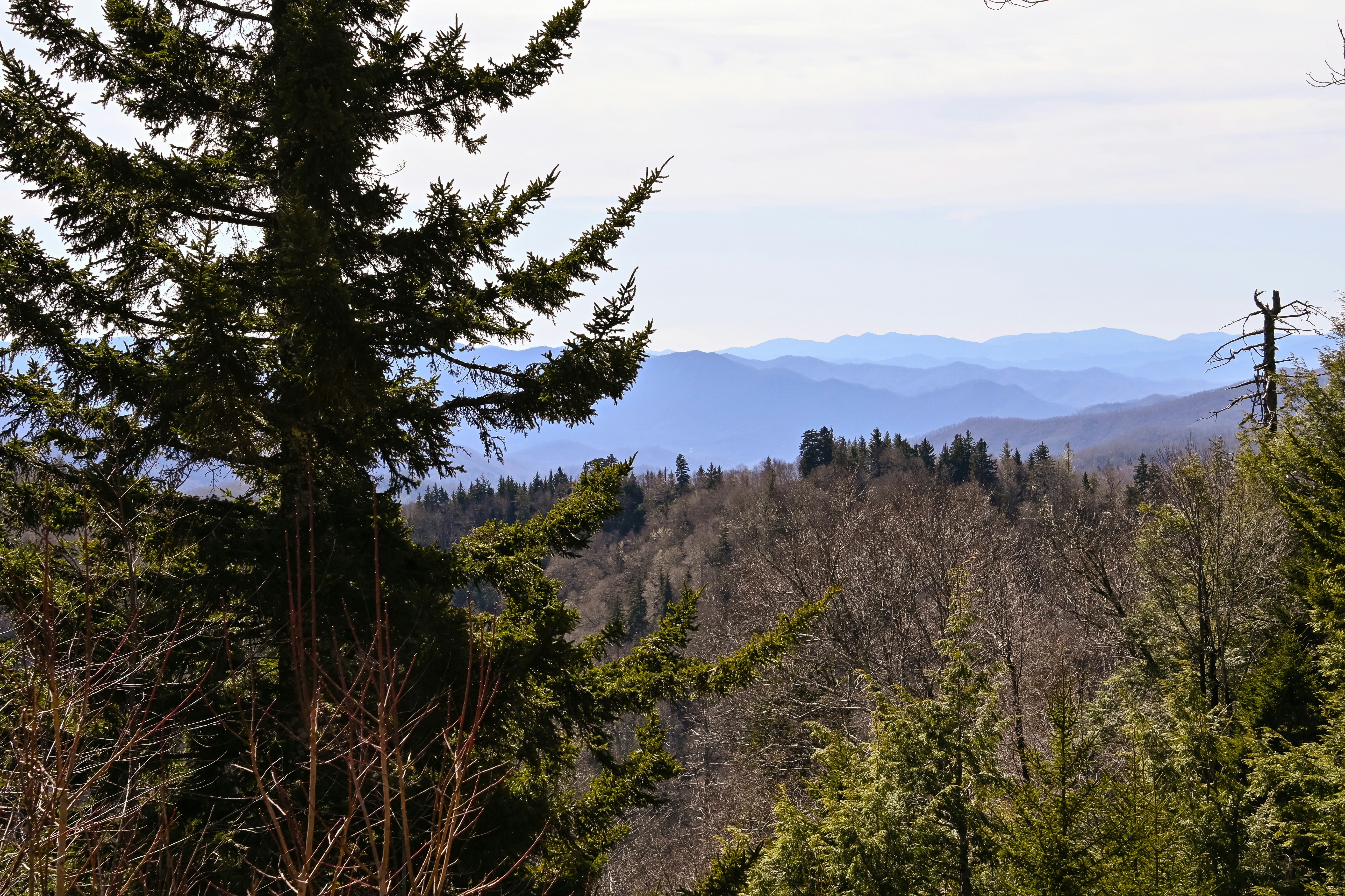 Photo by catch_a_vibe_photo