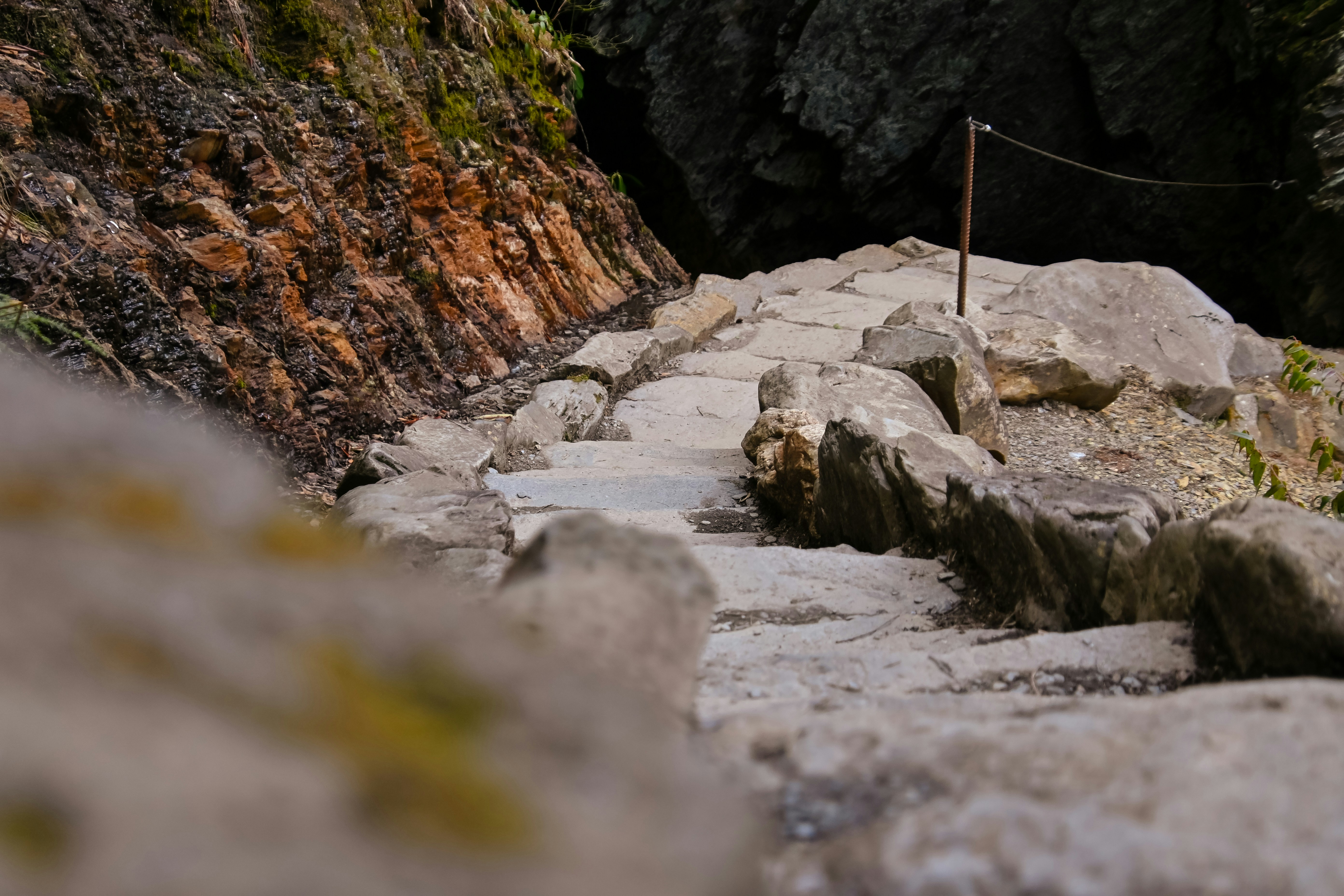 Photo by catch_a_vibe_photo