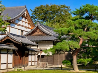 A traditional Japanese building featuring classic architectural elements such as wooden beams, white plaster walls, and a dark tiled roof. In the foreground, a lush, well-maintained pine tree adds a touch of natural beauty, set against a clear blue sky. The setting appears serene and meticulously cared for, reflecting a harmonious blend between nature and man-made structures.