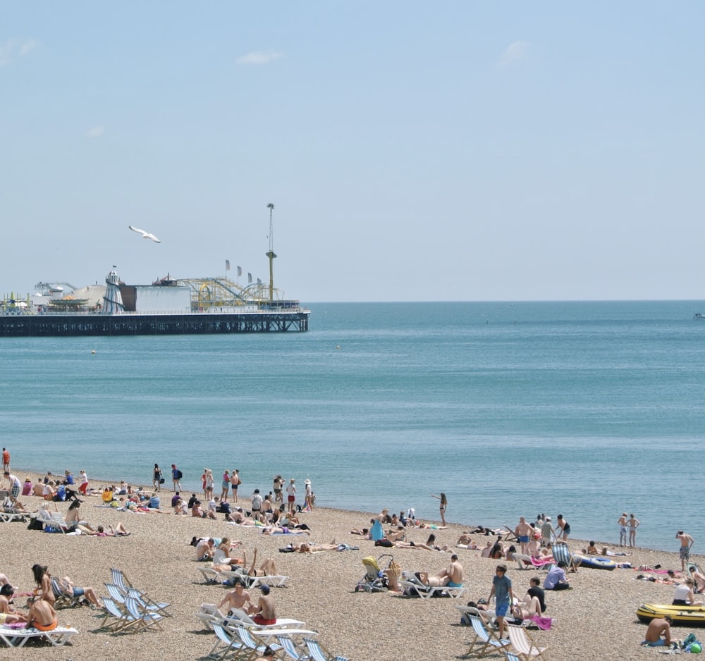 people on beach during daytime