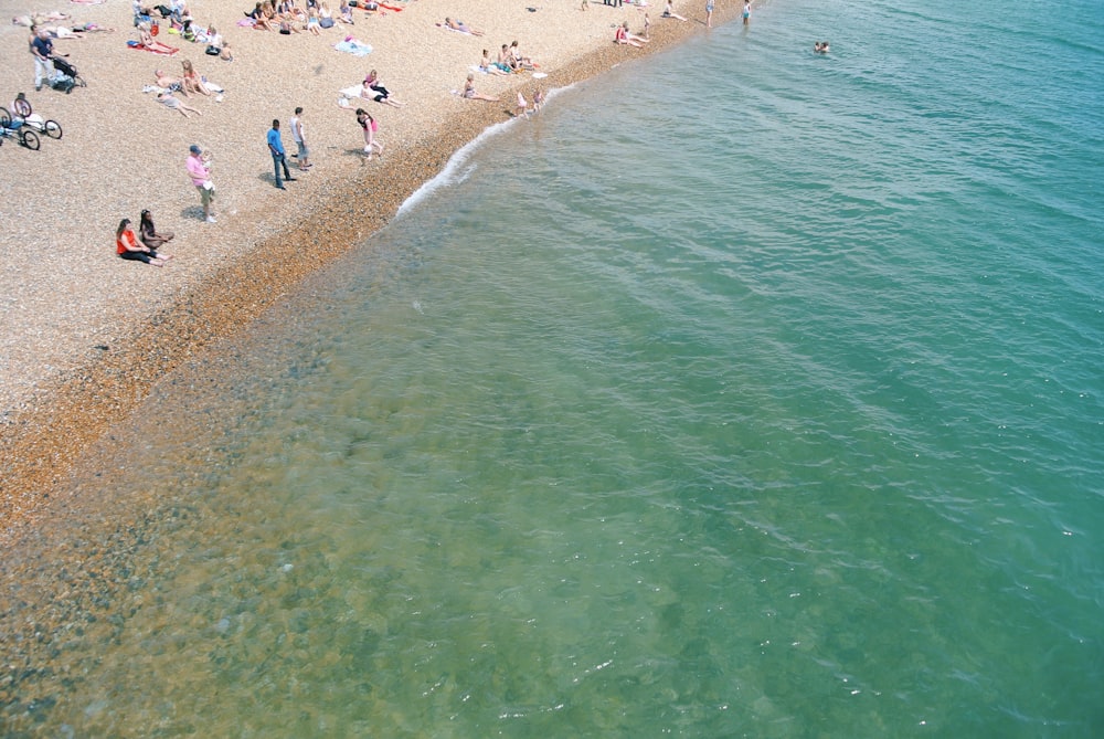 people on beach during daytime