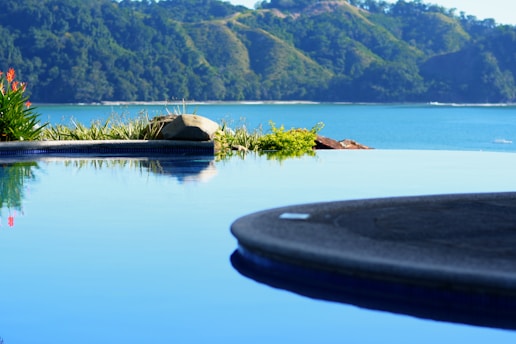 brown canoe on body of water near green grass field during daytime