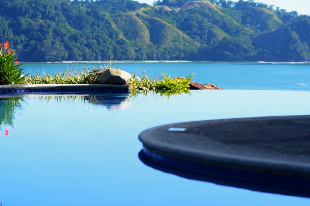 brown canoe on body of water near green grass field during daytime