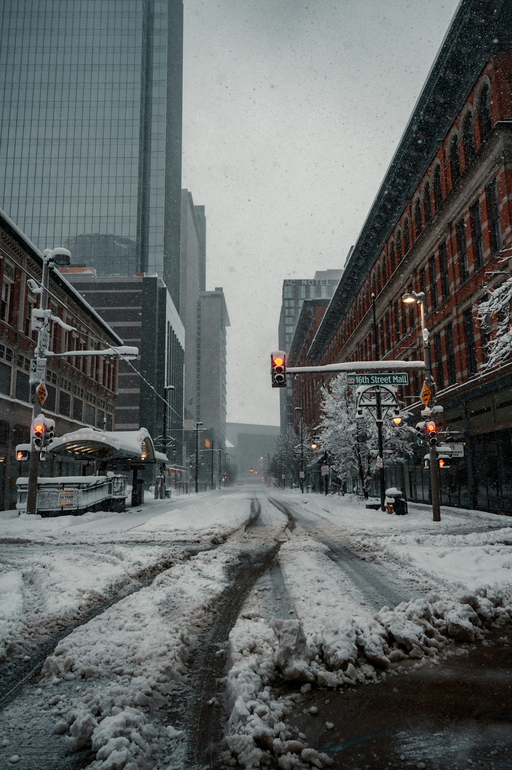 cars on road between buildings during daytime