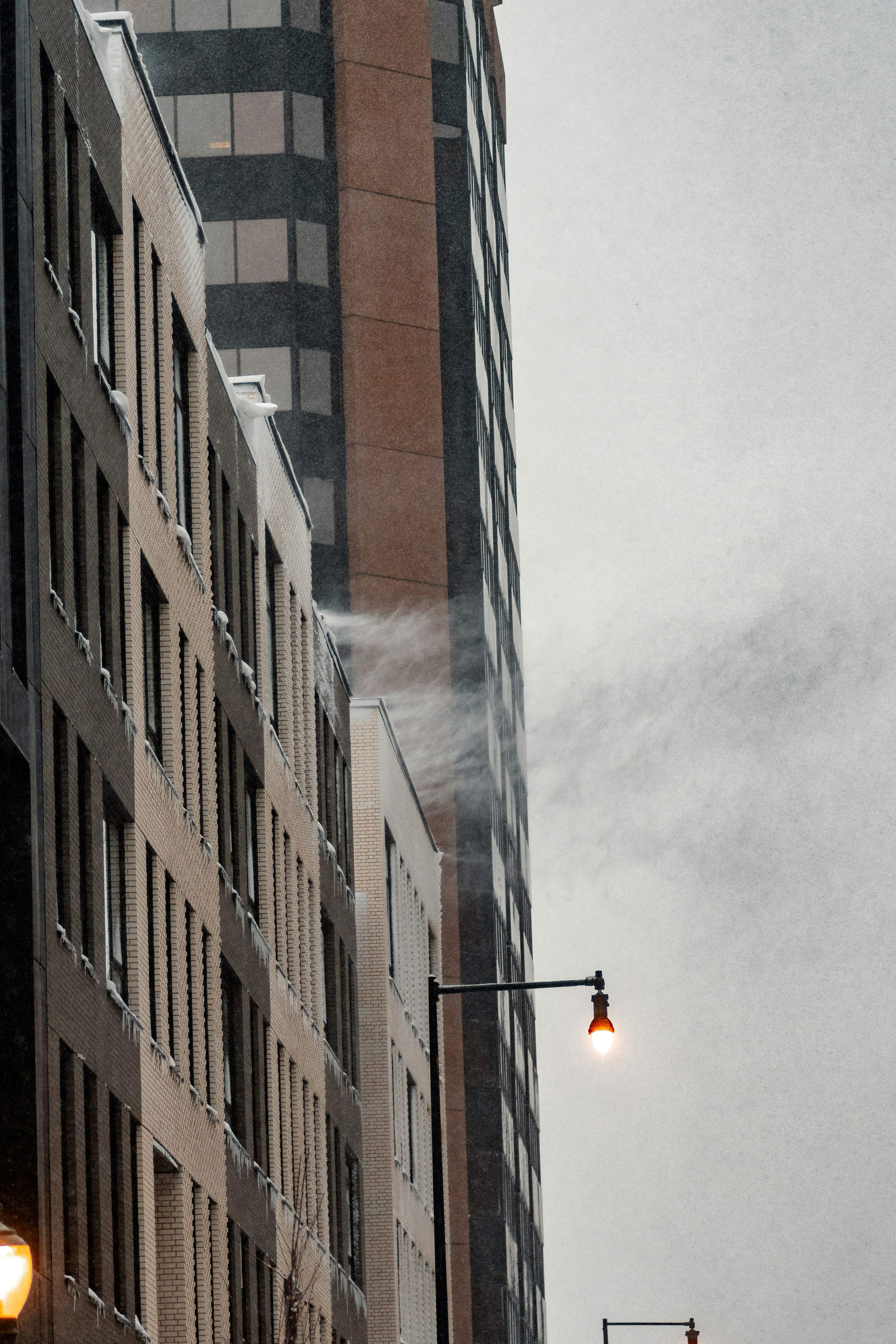 Photo by onthesearchforpineapples