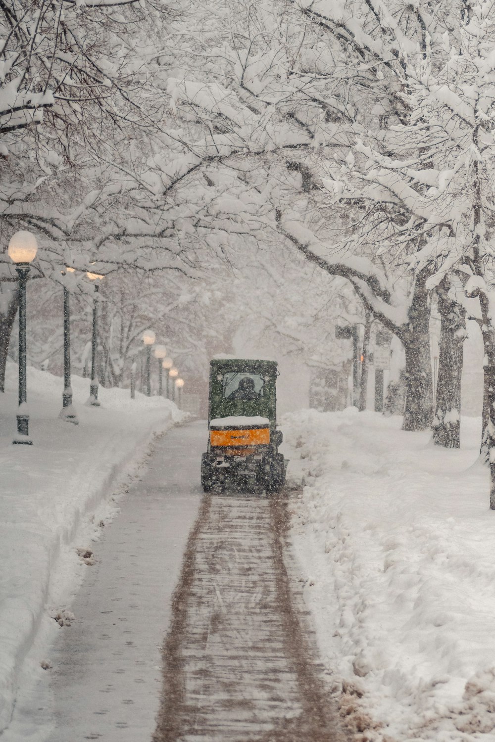 Tren negro y amarillo en la vía férrea entre árboles cubiertos de nieve durante el día