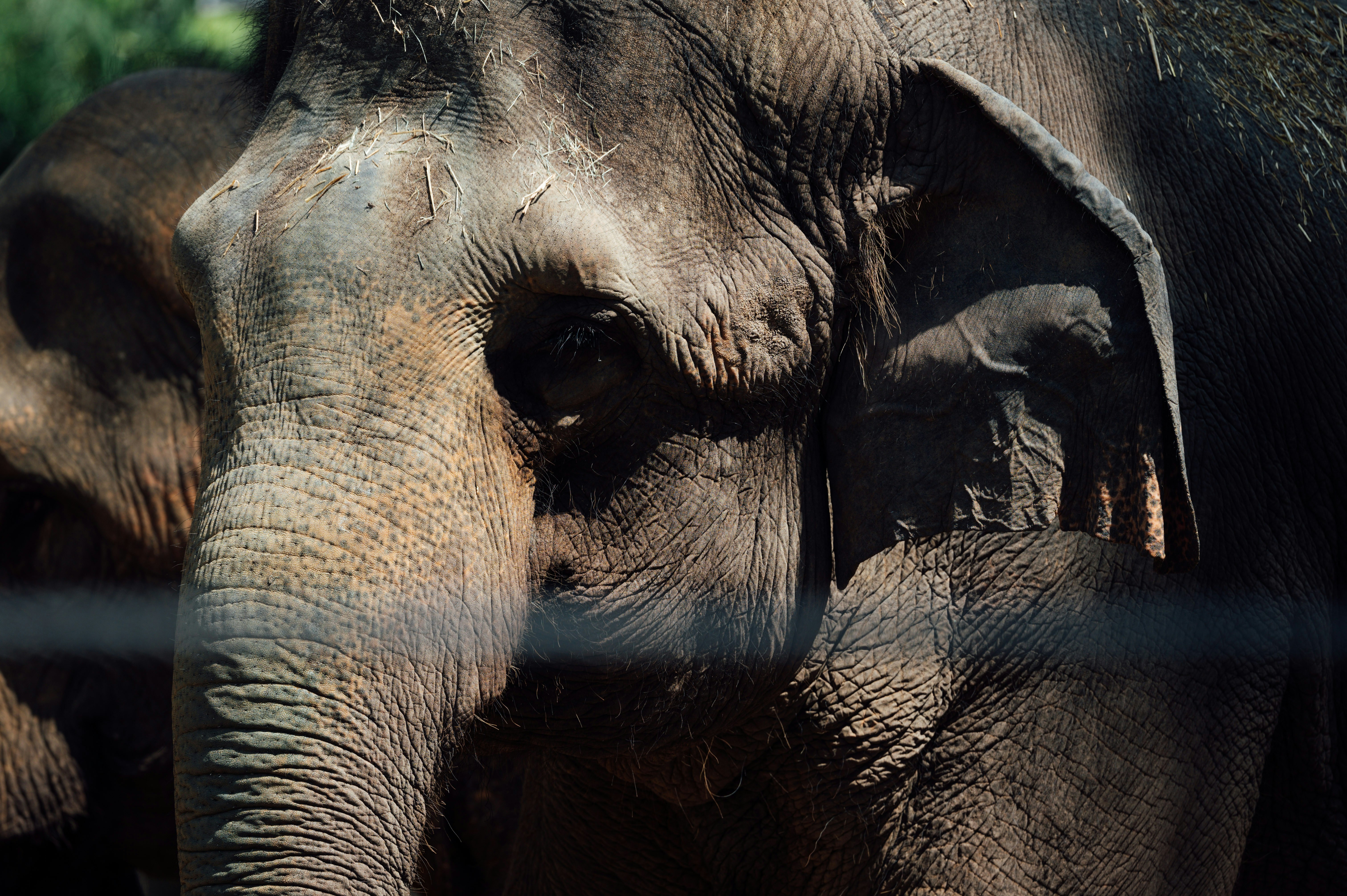 Photo by chuttersnap