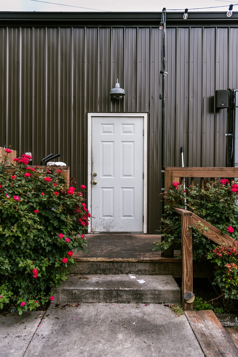 red flowers on brown wooden fence